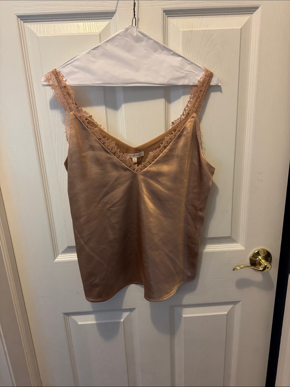 Skies Are Blue Satin Lace-Trim Cami in Blush Taupe
